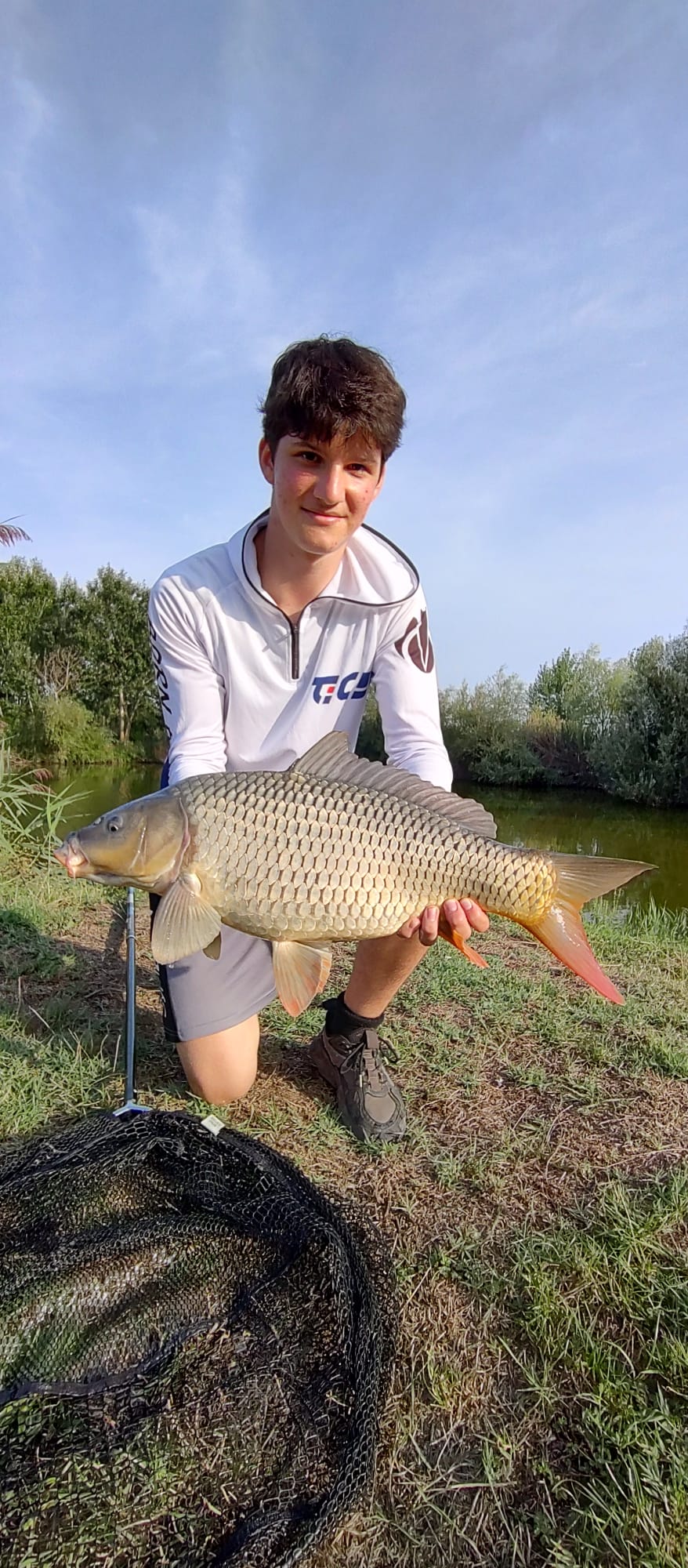 Balta cu Nuferi - Noi